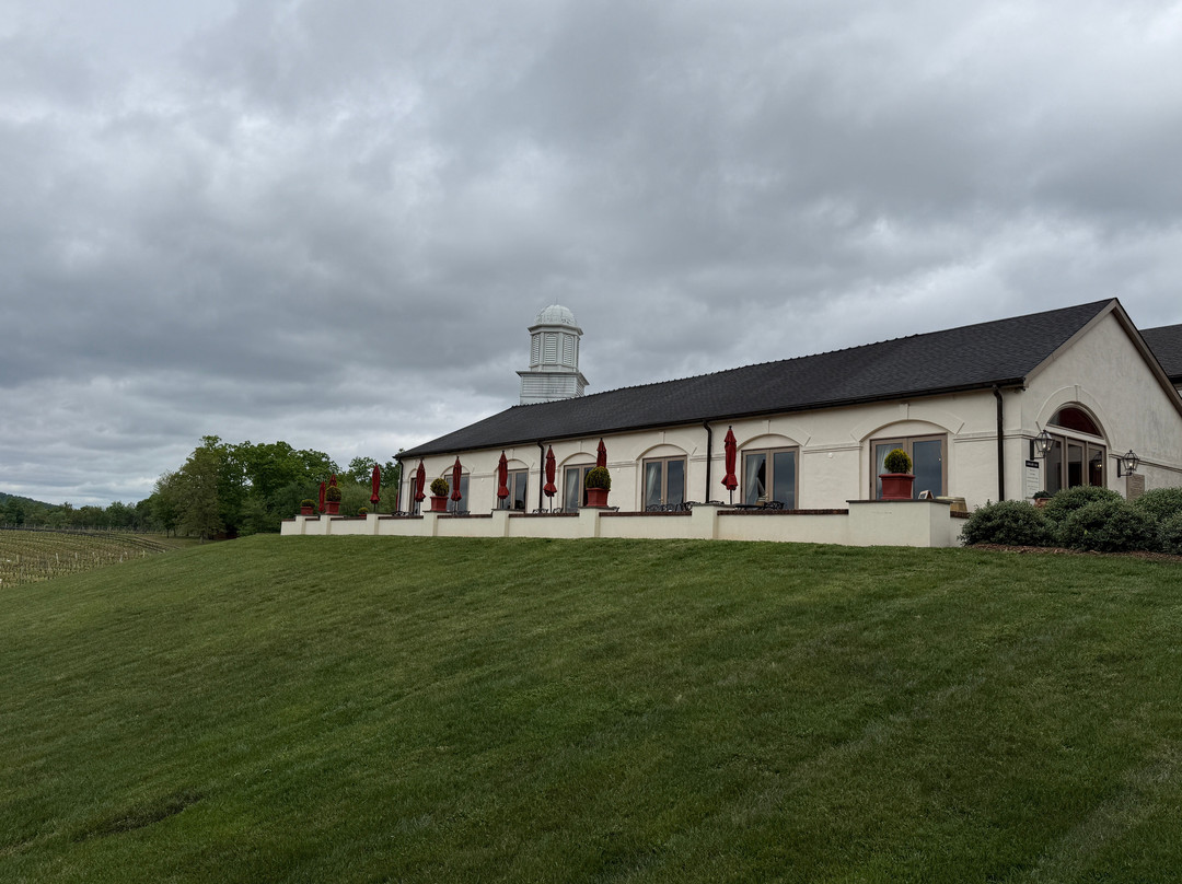 Barboursville Vineyards and Historic Ruins-Barboursville必去景点