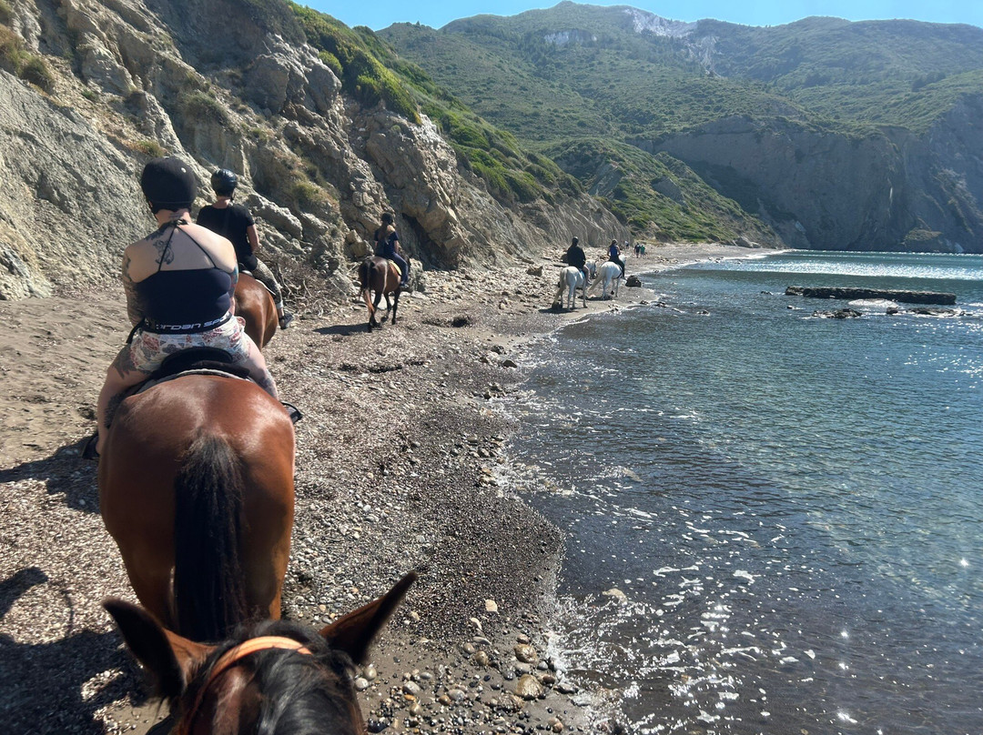 Laganas Horse Riding Center-扎金索斯必去景点