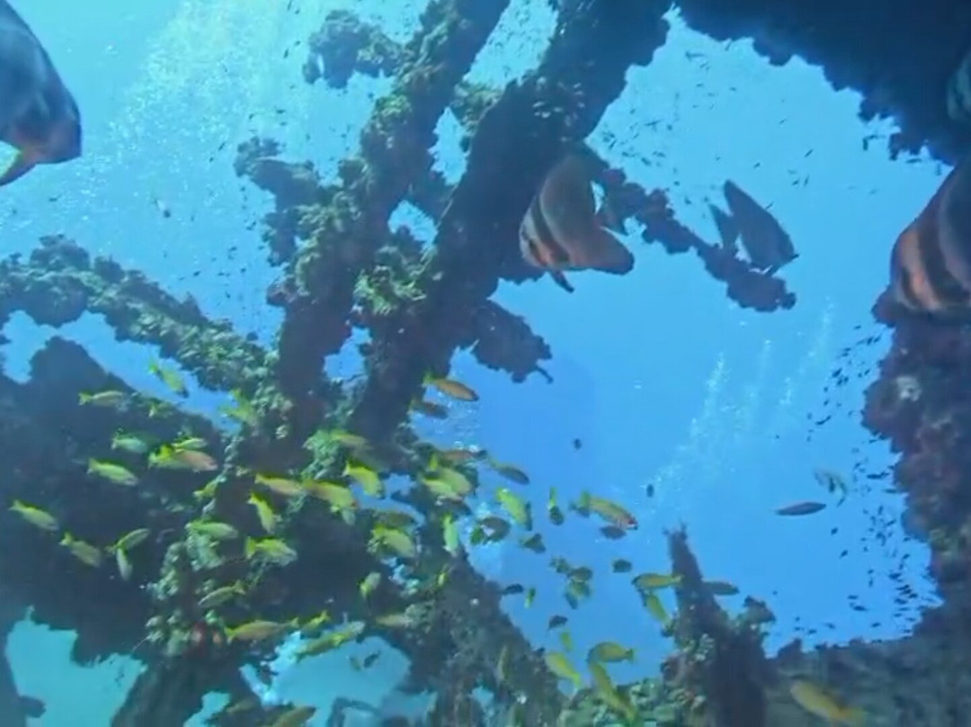 Scuba Addicts Dive Center Passikuda-卡尔库达必去景点