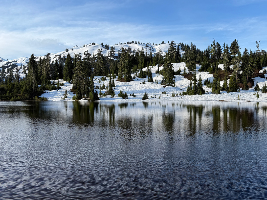Picture Lake-Glacier必去景点