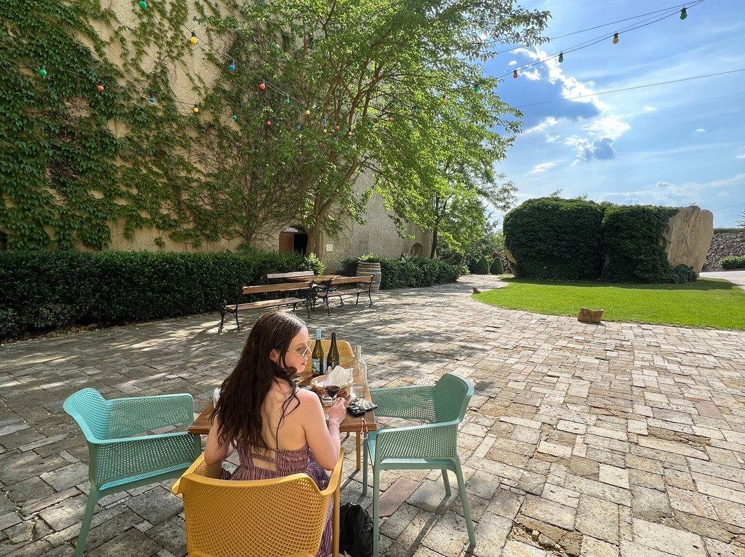 Bolyki Winery and Vineyard-埃格尔必去景点