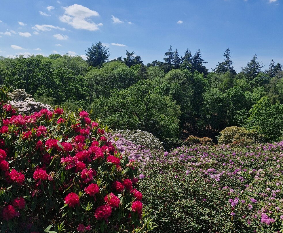 Sheringham Park-Sheringham必去景点