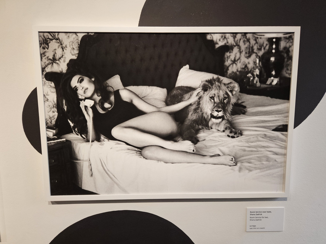 Fotomuseum aan het Vrijthof-马斯特里赫特必去景点