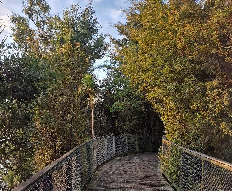 Hamilton Lake Domain-汉密尔顿必去景点