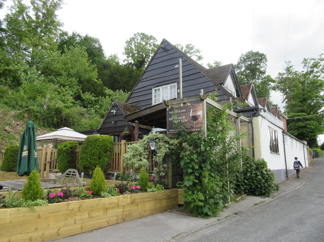 The Duck Inn-索尔兹伯里必去景点
