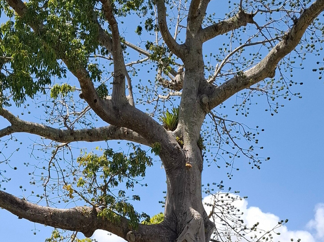 Scarborough Botanical Garden-斯卡伯勒必去景点