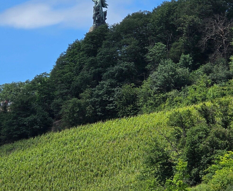 Seilbahn Rudesheim-吕德斯海姆必去景点