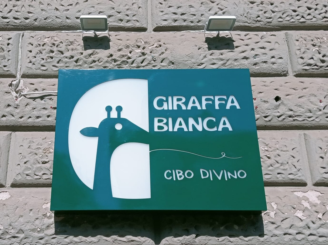 Giraffa Bianca