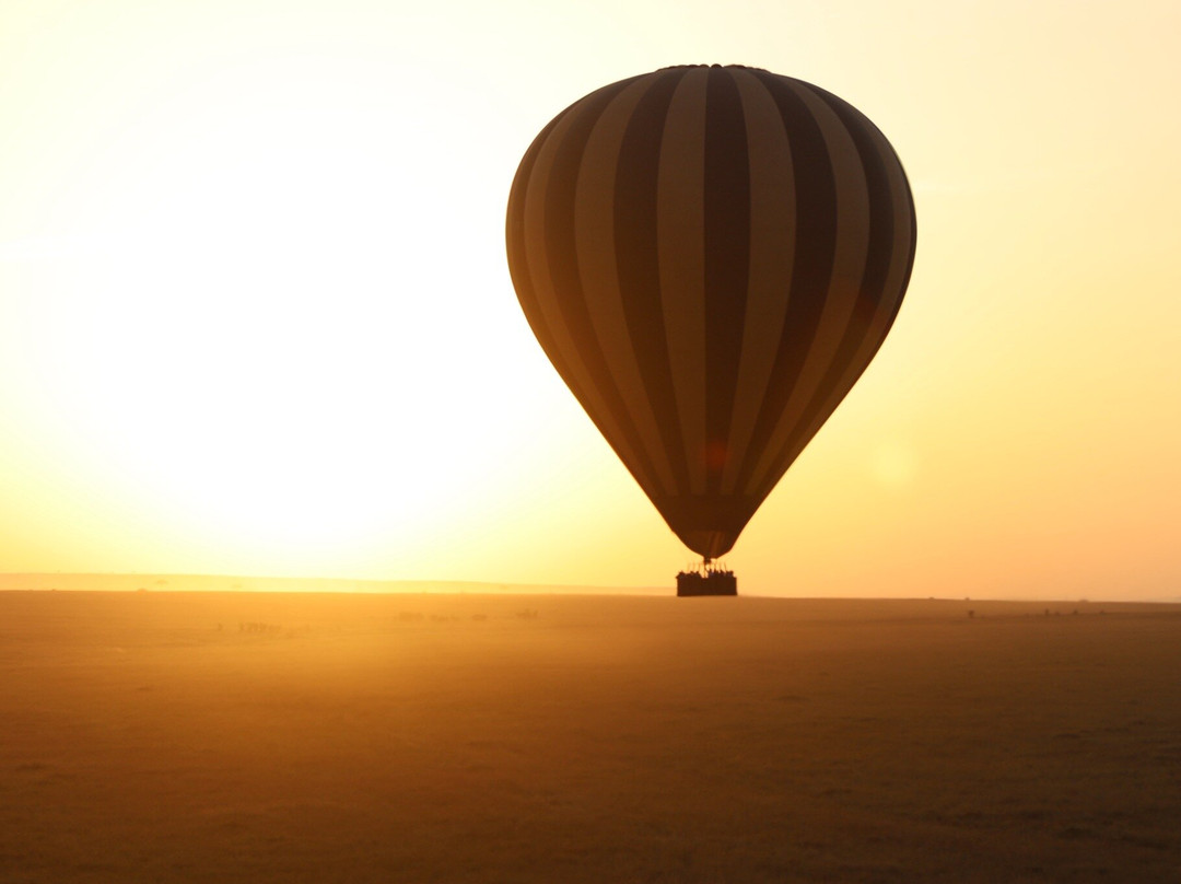 Hot Air Safaris-马赛马拉国家野生动物保护区必去景点