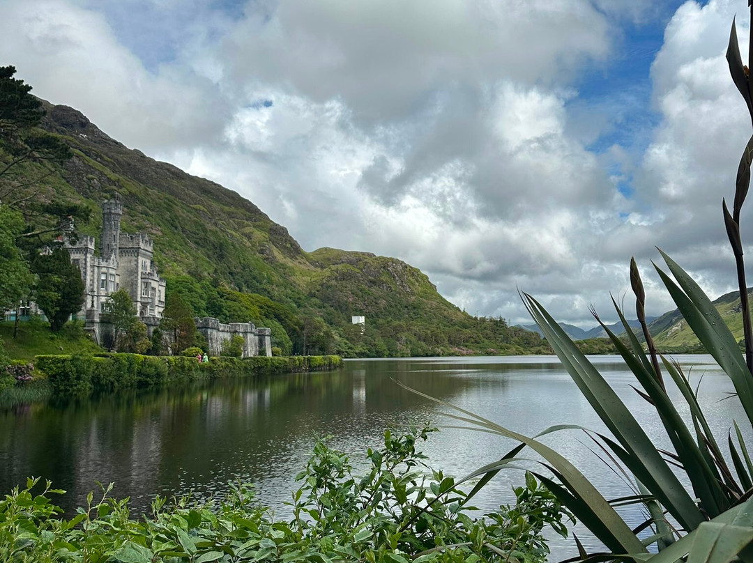 Irish Experience Tours-科克必去景点
