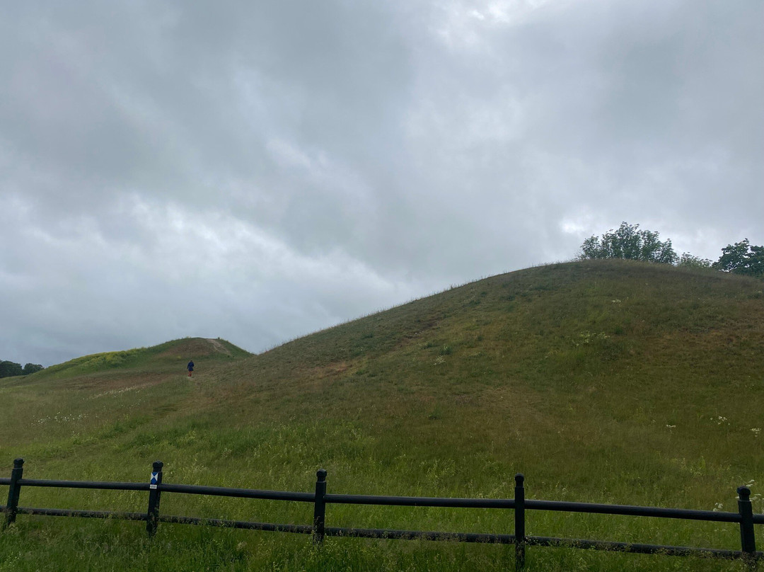 Royal Mounds-Gamla Uppsala必去景点
