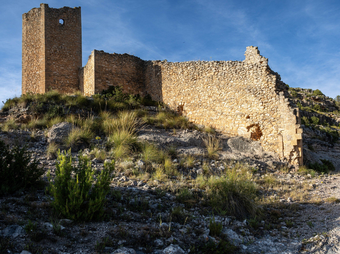 Torre de Armas o del Campo-阿拉尔孔必去景点