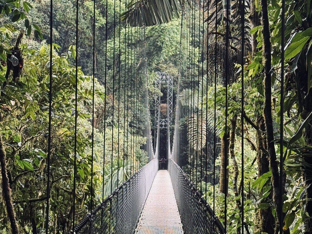 Mistico Arenal Hanging Bridges Park-福德圣卡洛斯必去景点