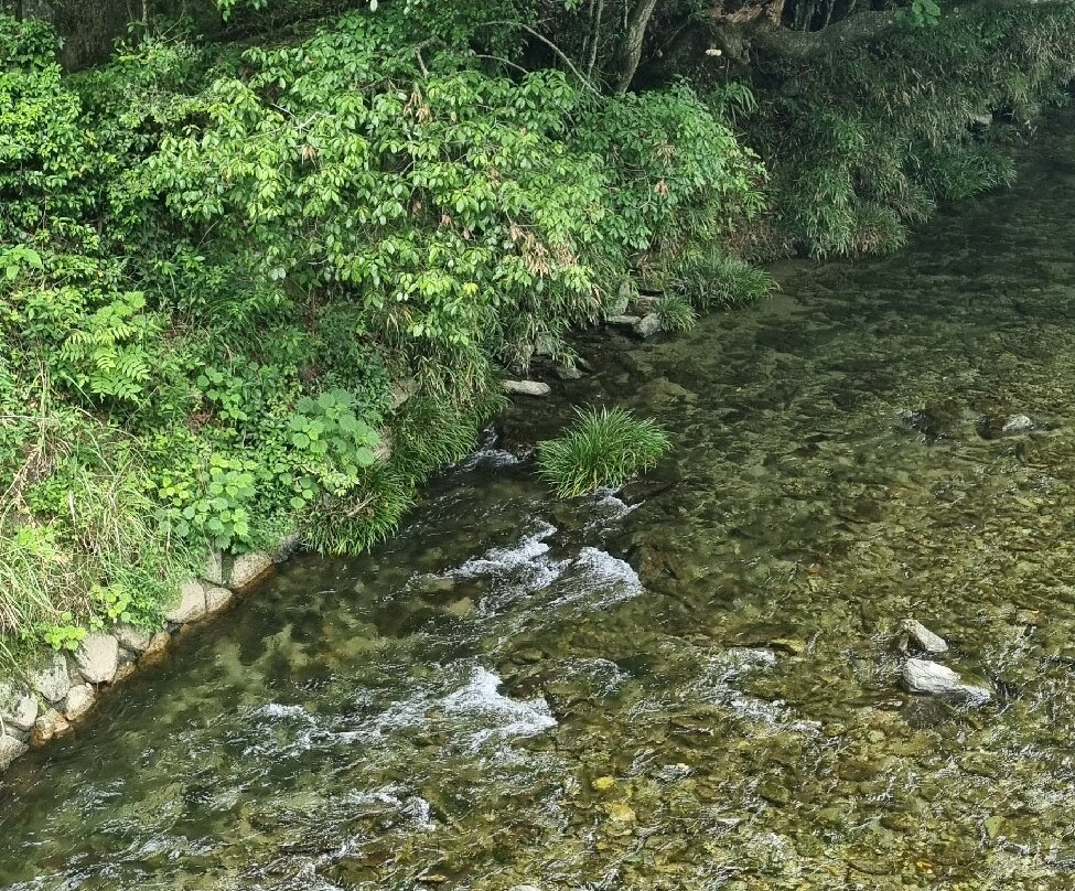 Ryuo Bridge-大洲市必去景点
