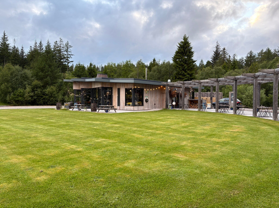 The Salt And Salmon Company