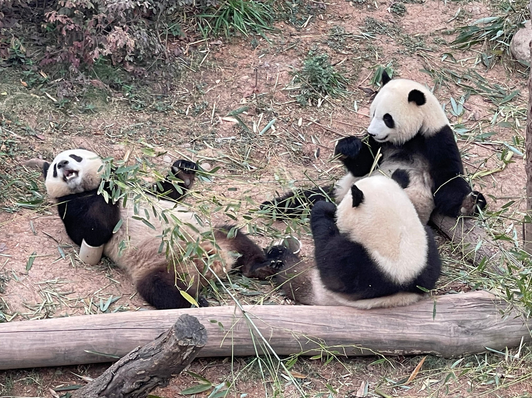 华鼎旅游-桂林市必去景点