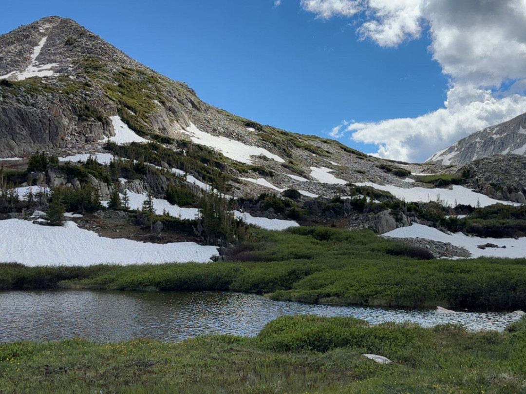 Medicine Bow National Forest-拉勒米必去景点
