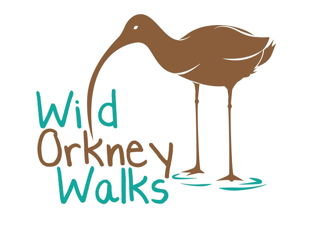 Wild Orkney Walks
