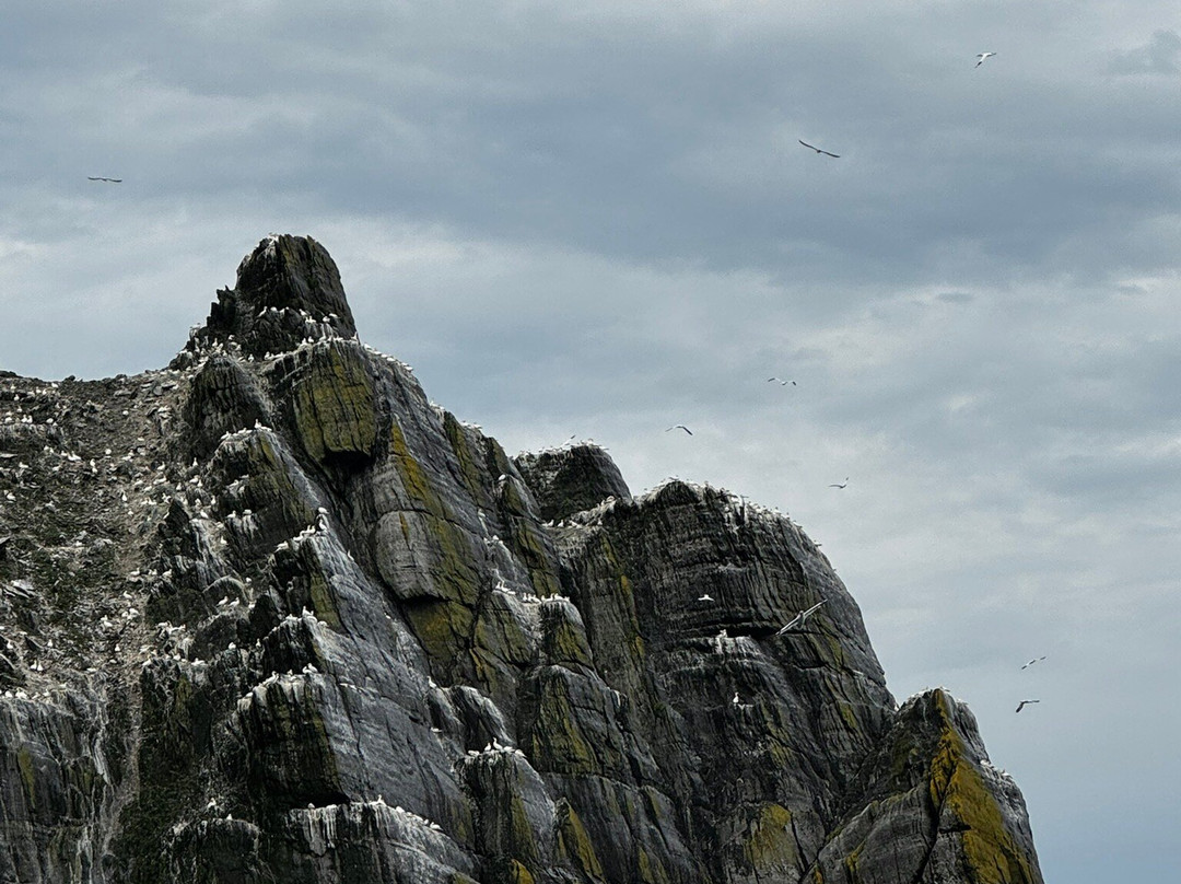 Skellig Tours-Caherdaniel必去景点