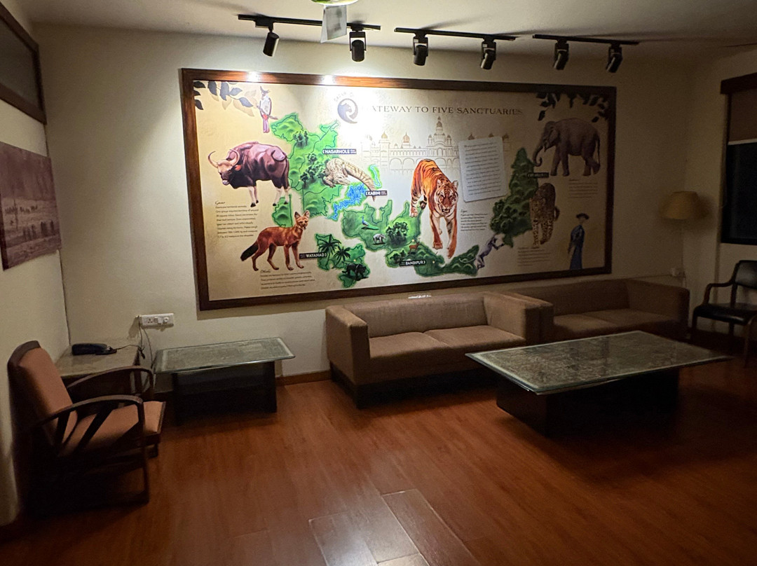 Safari Quest主图