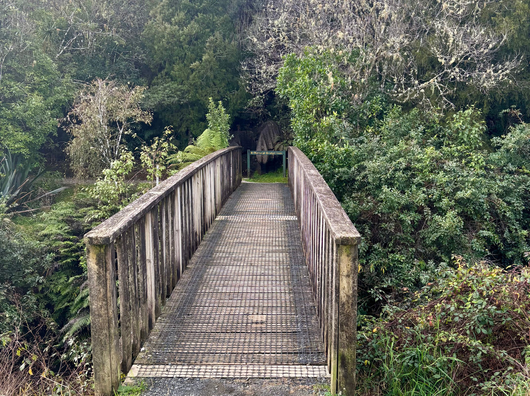 Mangapohue Natural Bridge Walk-怀托摩洞穴必去景点