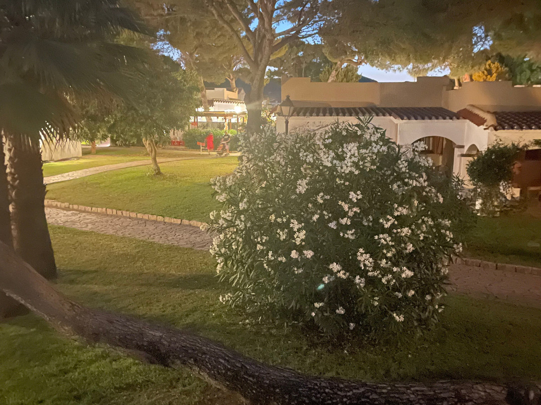 Porto Pino Club主图