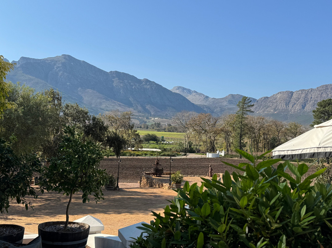 Franschhoek Wine Tram-法兰舒克必去景点