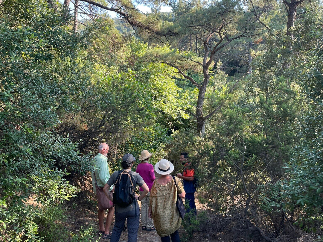 Ikarian Footprints-Ikaria必去景点