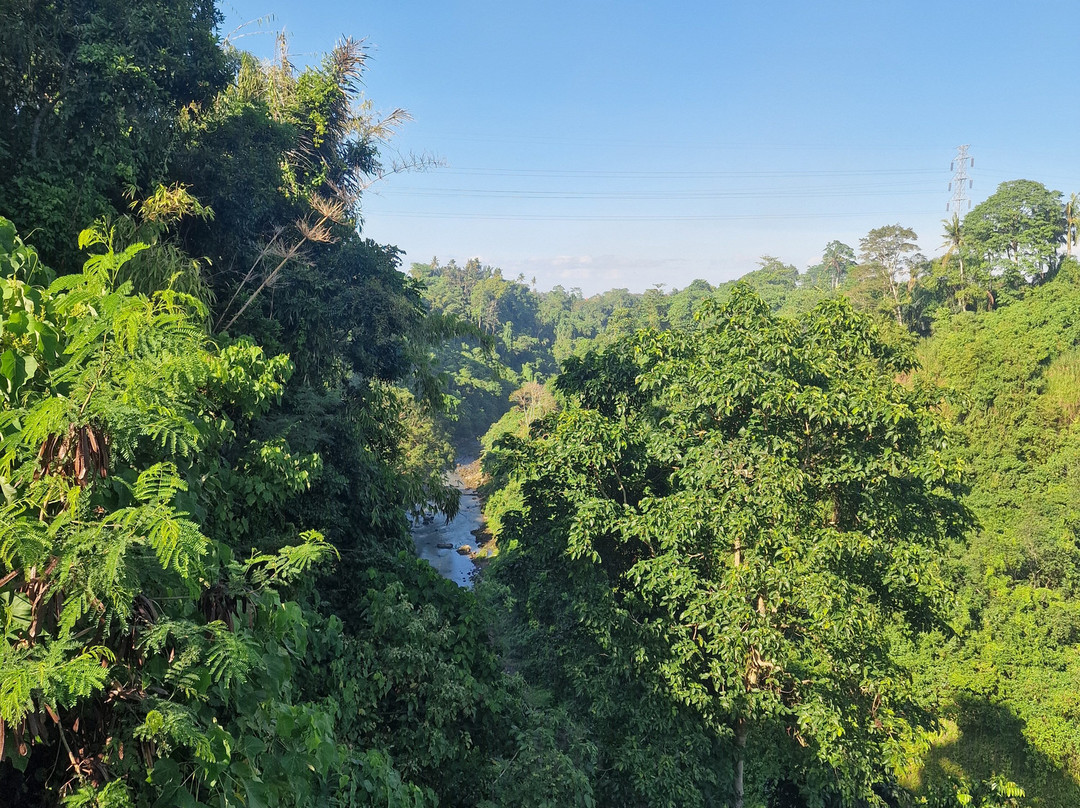 Glass Bridge Bali-Kemenuh必去景点
