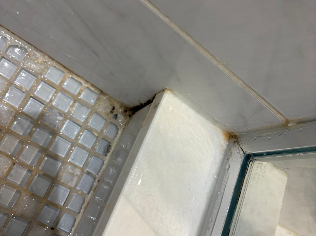 威廉格雷酒店主图