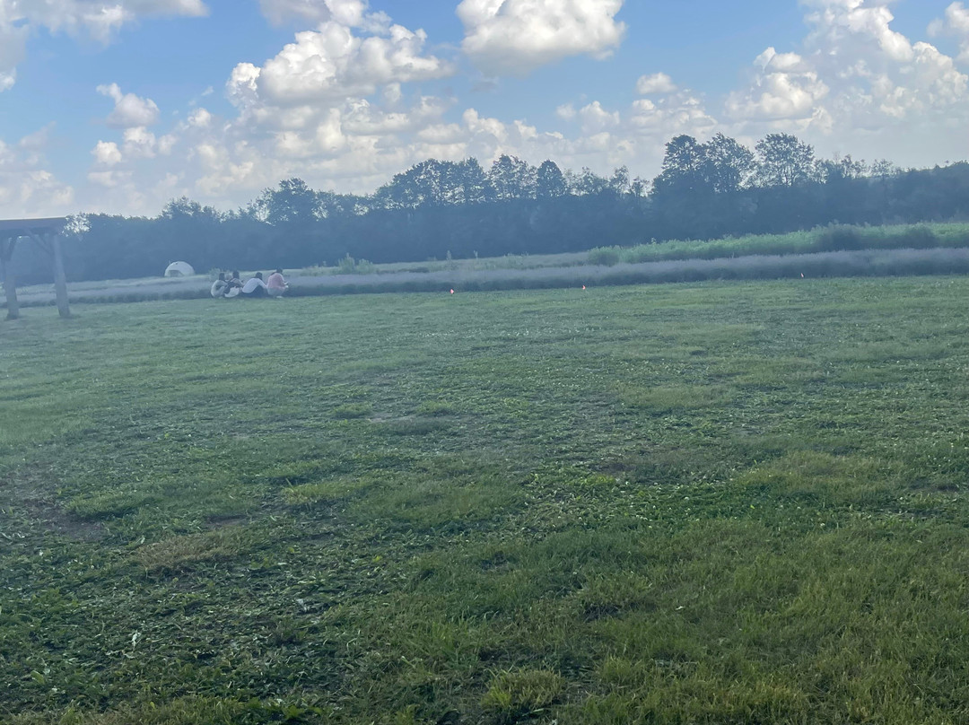 Avalon Lavender Farm