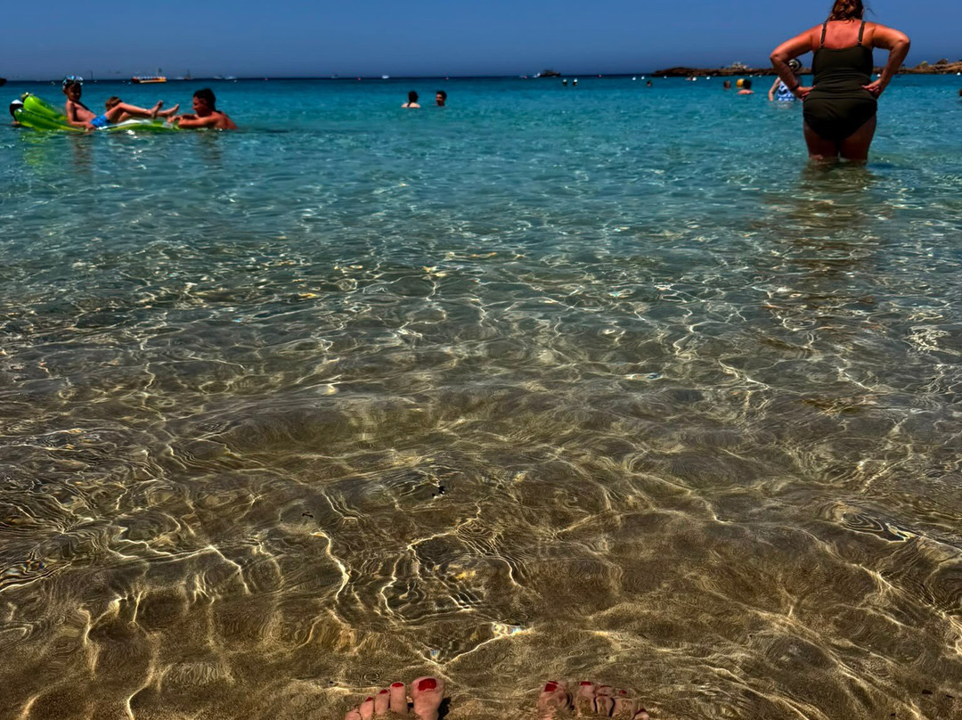 Fig Tree Bay Beach-普它肋斯必去景点