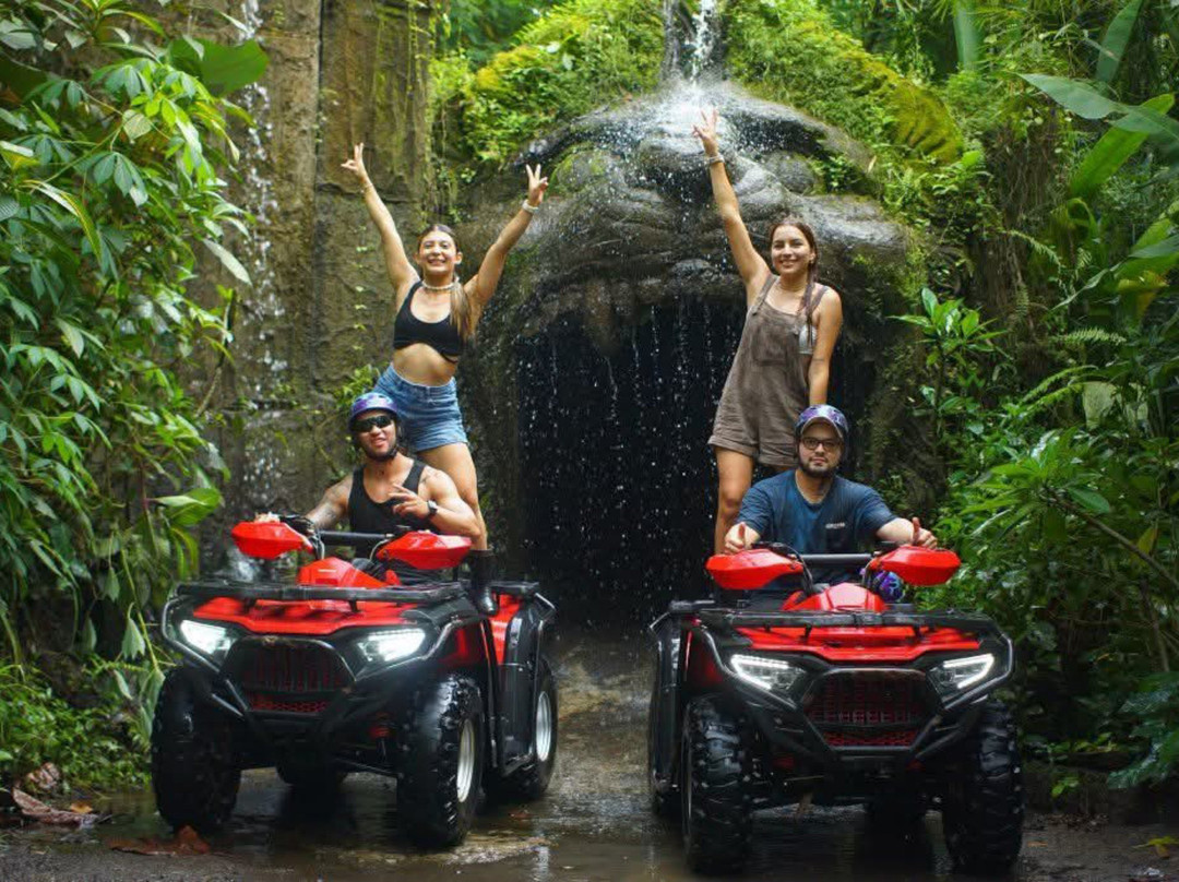 Artha bali tours-乌布必去景点
