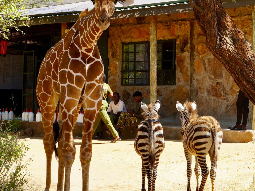 Reteti Elephant Sanctuary-桑布鲁国家保护区必去景点