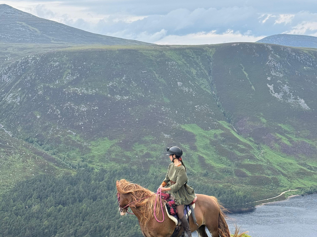 Highlands Unbridled Trail Riding & Trekking Centre-Aboyne必去景点