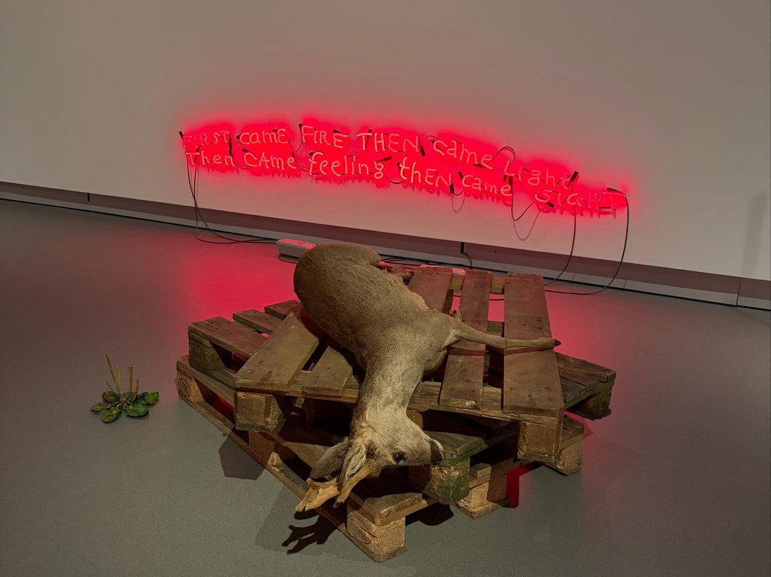 Stedelijk Museum Breda-布雷达必去景点