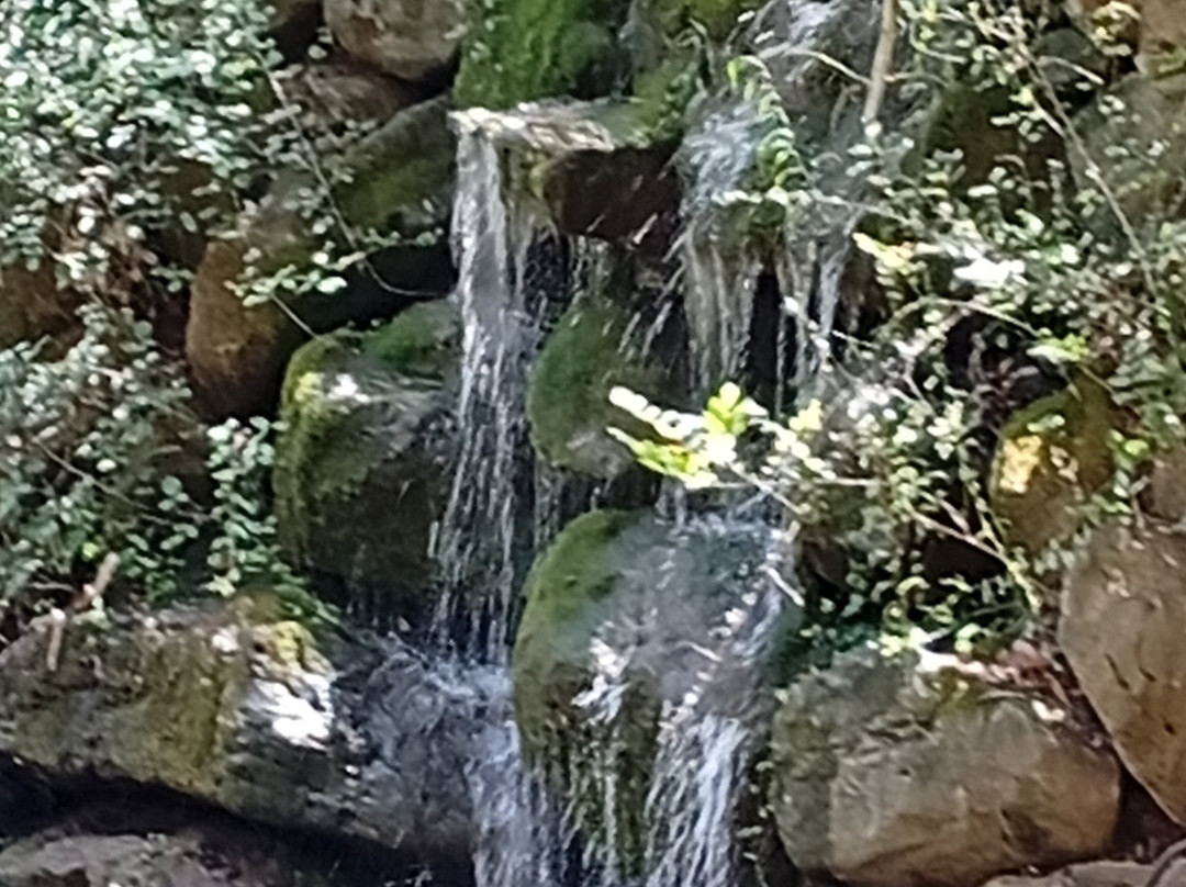Parco Museo S'Abba Frisca-Dorgali必去景点