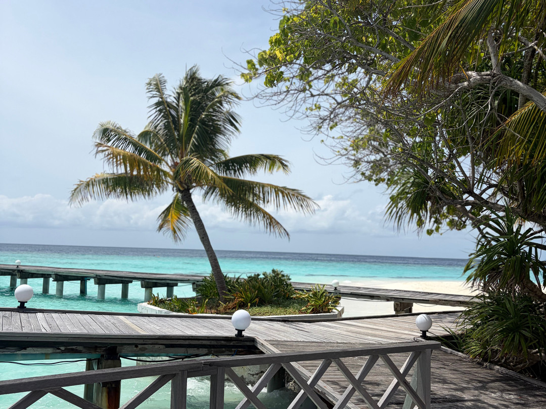 萨芙莉岛度假村主图