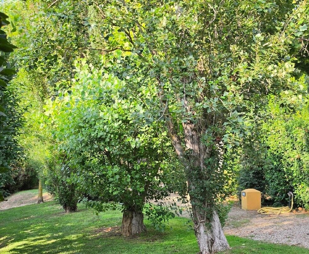 Villa Hotel Valle del Marta主图