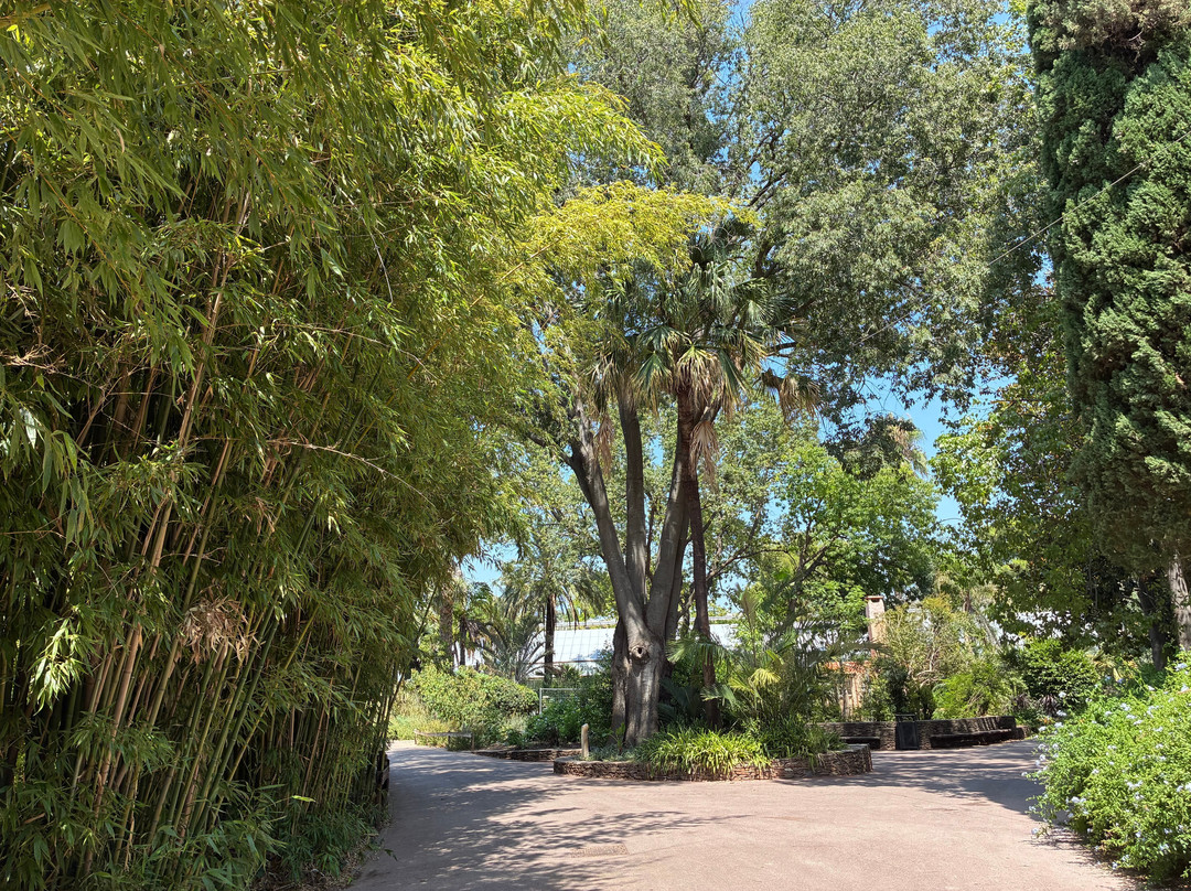 Parc Olbius-Riquier-耶尔必去景点