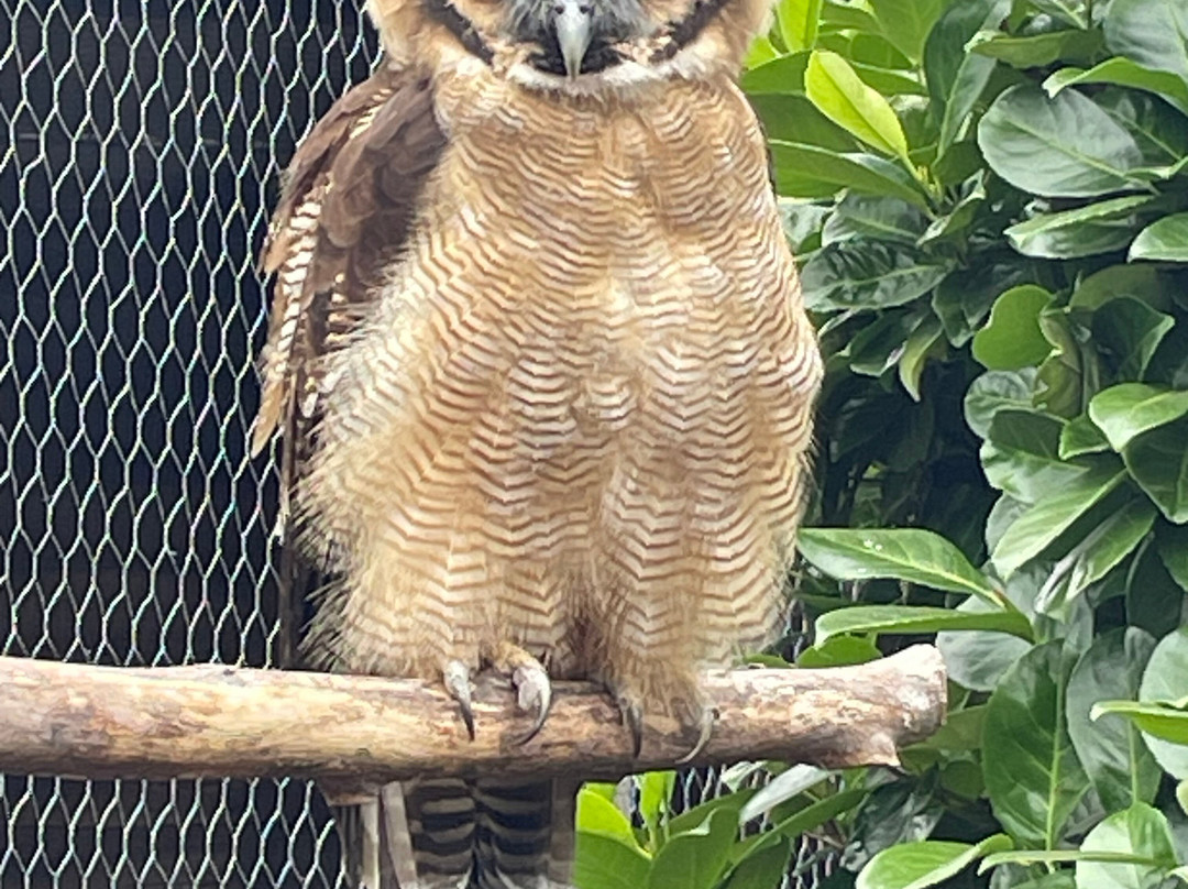 Hamerton Zoo Park-Sawtry必去景点