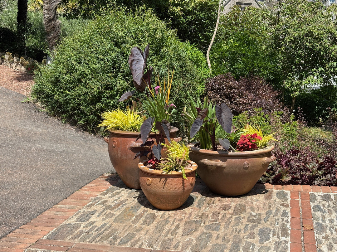 Overbecks Garden-Salcombe必去景点