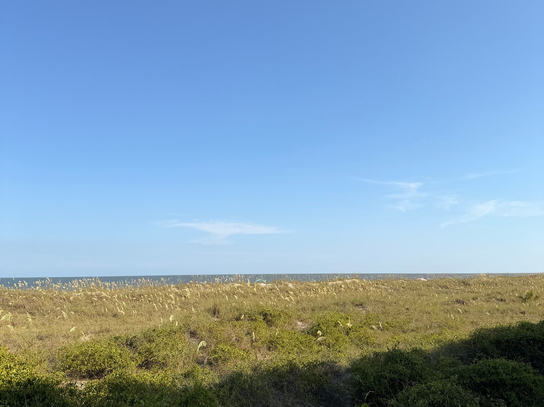 Folly Field Beach Park-希尔顿头岛必去景点
