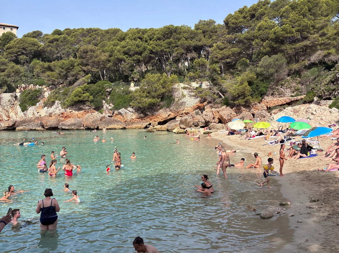 Cala Gat-Cala Ratjada必去景点