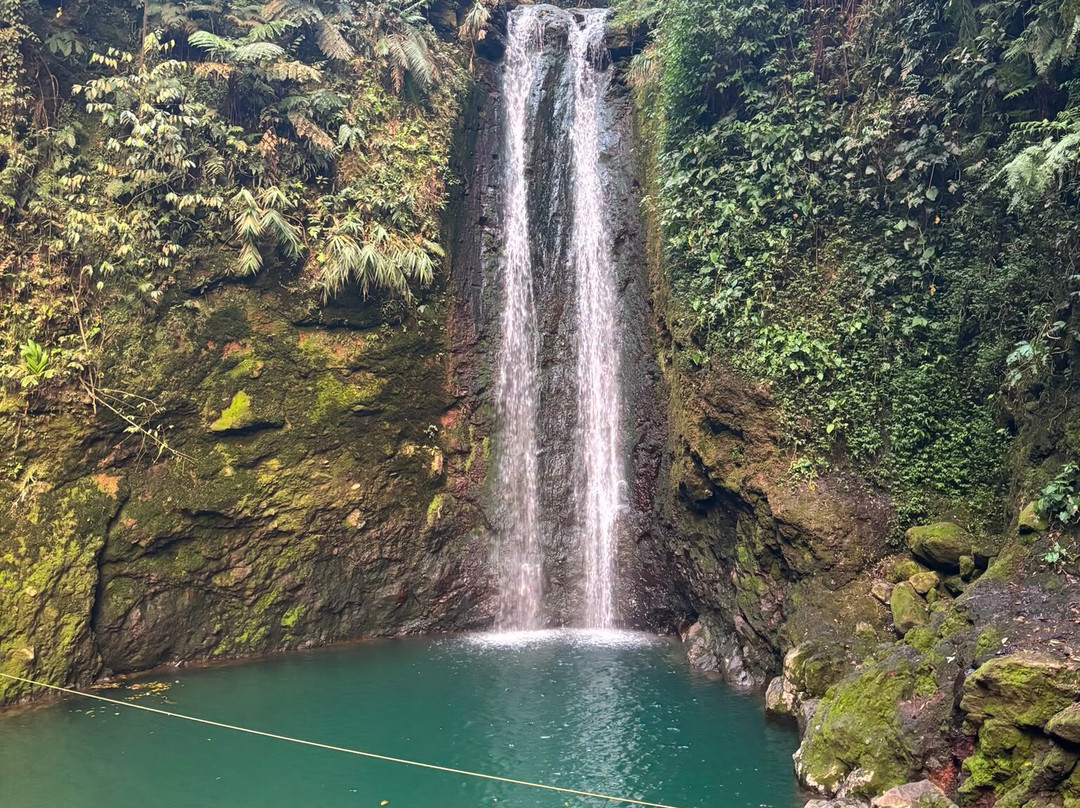 Bogor Halimun National Park Tour-茂物必去景点