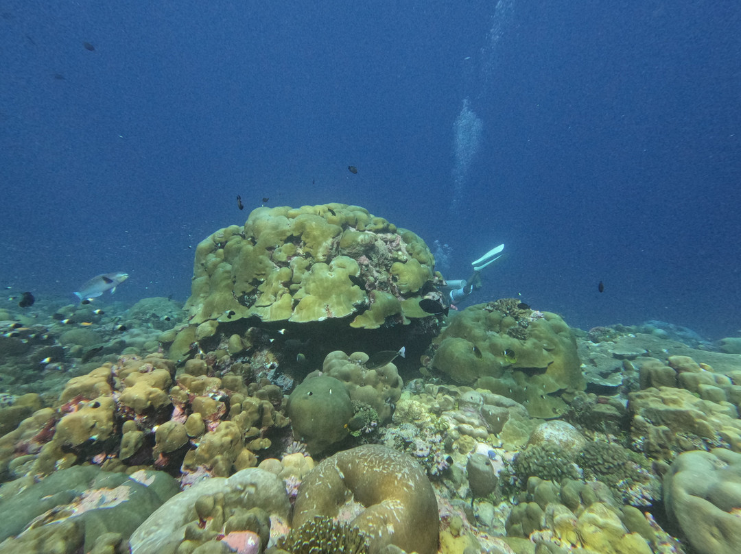 Scuba Butler Fuvahmulah-Fuvahmulah必去景点