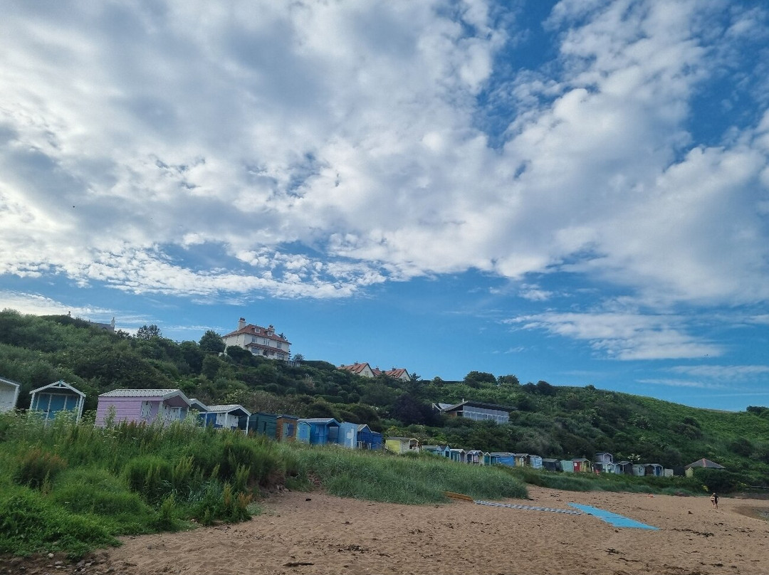 Coldingham Sands-Coldingham必去景点