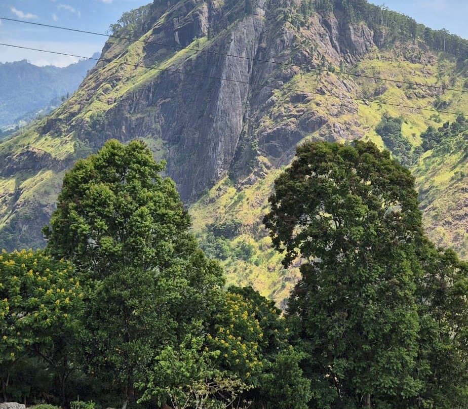 Amazing Travels & Tours Sri Lanka-科奇克德必去景点