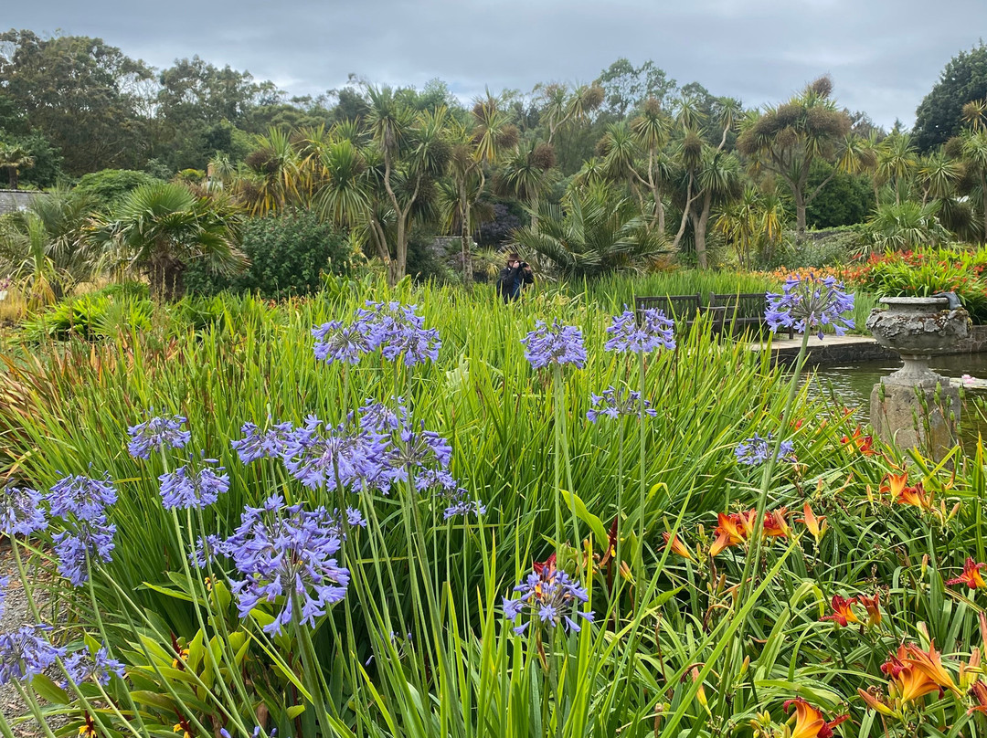 Logan Botanic Garden-Port Logan必去景点