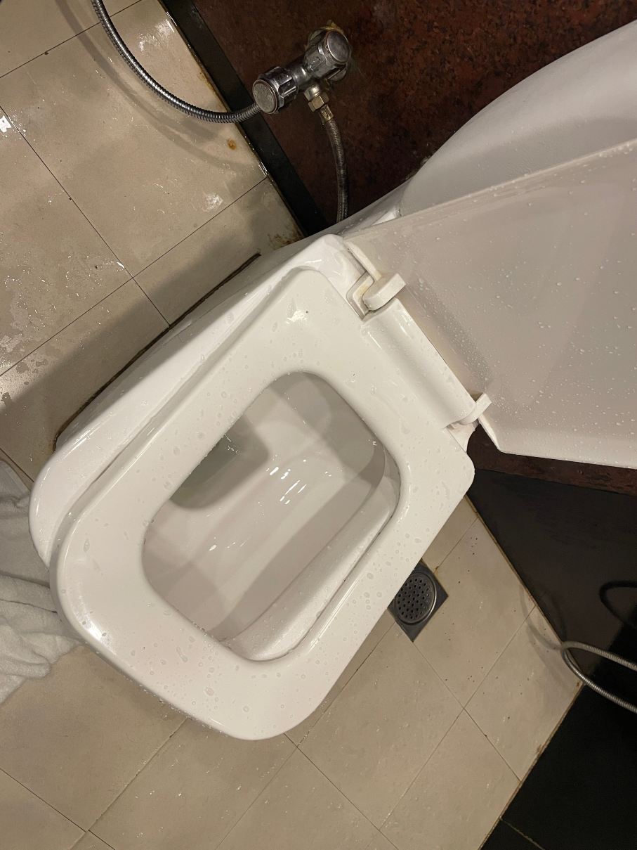 乌塔卡蒙德翡翠公园酒店-浴室